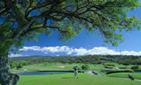 santa maria golf club